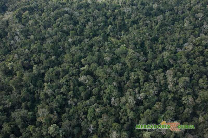 Area a Venda na Amazonia para Compensação Ambiental