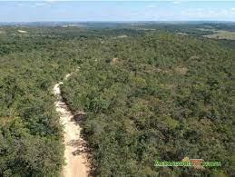 Área a venda para compensação ambiental no Estado do Amazonas