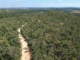 Área a venda para compensação ambiental no Estado do Amazonas