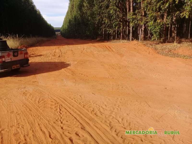Vendo Fazenda de Eucalipto de 2400 ha no Norte de  Minas Gerais