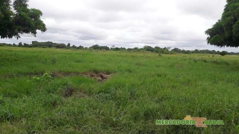 Fazenda gado de Corte a Venda no Pantanal Mato Grosso 22344 ha