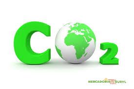 5 Bilhões de Ton. de Créditos de Carbono a Venda Brasil 