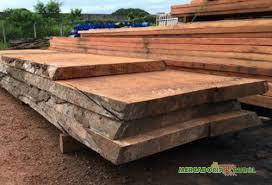 Wood for sale in Brazil by Angelim Stone for Export