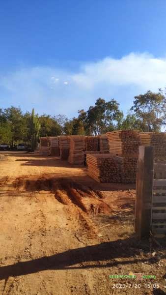 Wood for sale in Brazil by Balsa Wood for Export