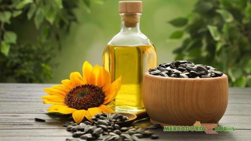 Sunflower Oil for sale in Brazil