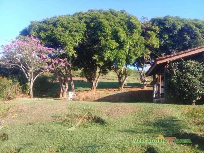 Vendo Fazenda com Alambique  Cachaça Orgânica em Minas Gerais Brasil
