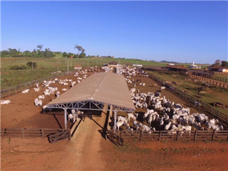 Vendo Fazenda de Confinamento em Mato Grosso 860 Alqueires