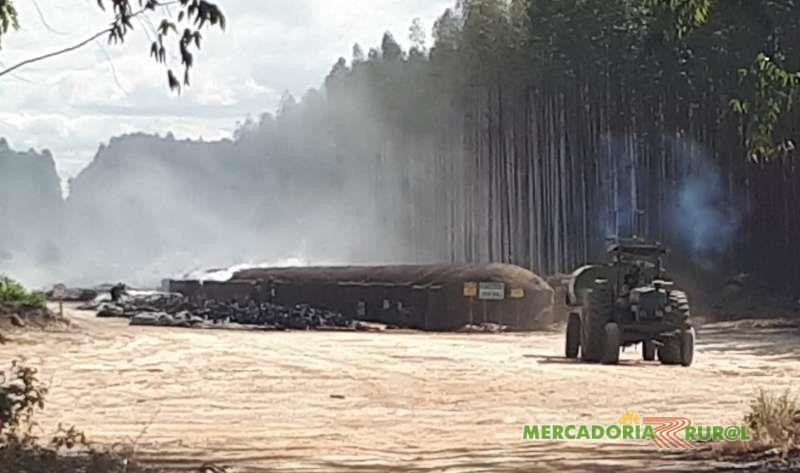 Vendo Floresta de Eucalipto 1300 ha  para Carvão no Norte de Minas