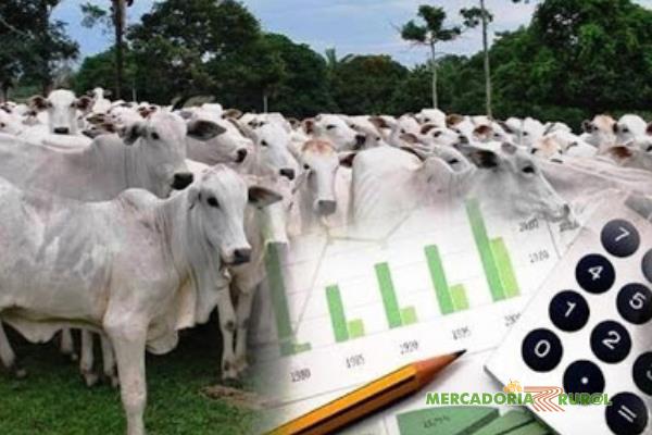Protocolo IATF na bovinocultura de corte em belo Horizonte MG